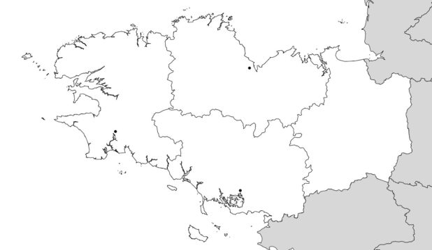 Blank map of administrative Brittany